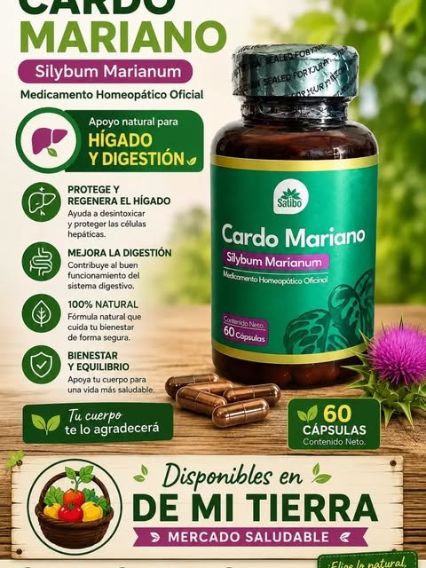 Cardo Mariano Silybum marianum