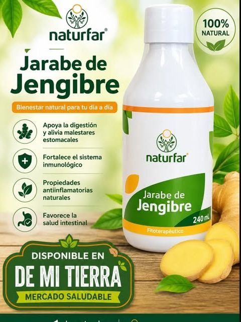 Jarabe de Jengibre Naturfar